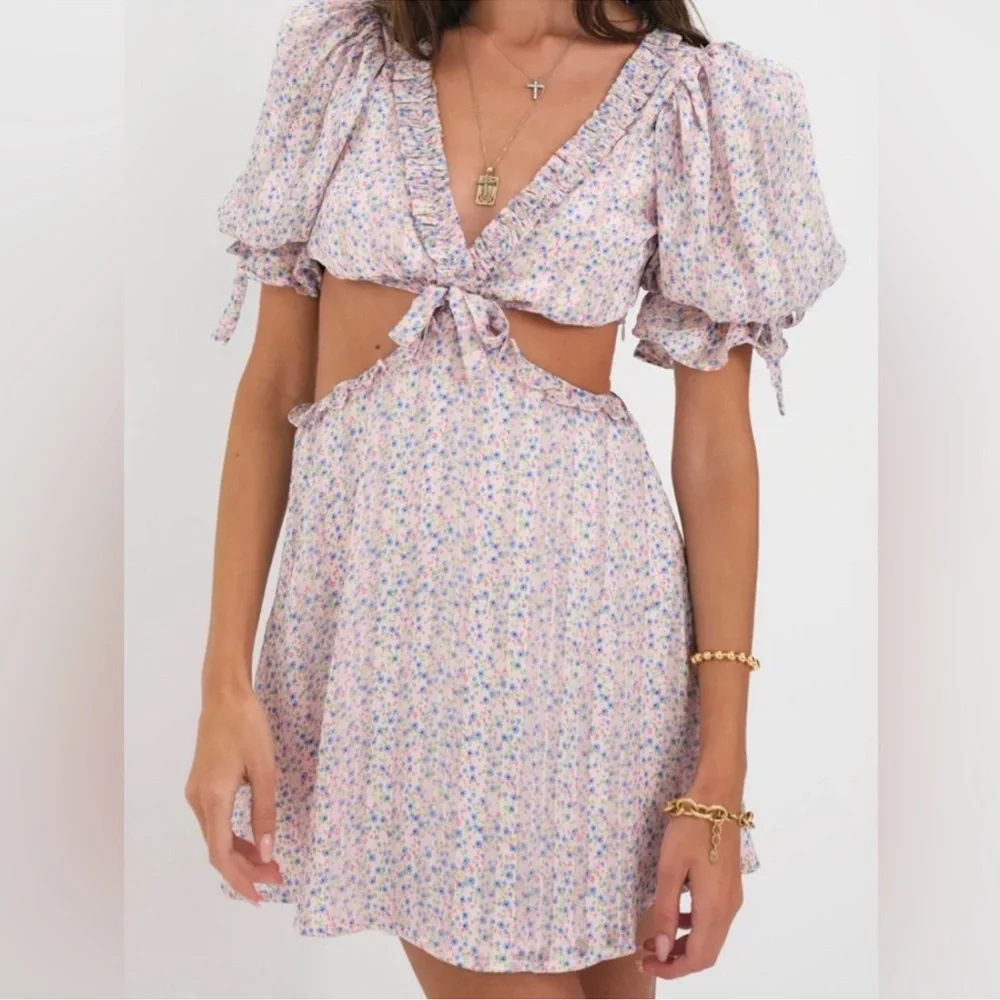 NWT PHOEBE FLORAL-PRINT CUTOUT SATIN CHIFFON MINI DRESS - Picture 2 of 5